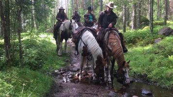 Our Little Farm Horse Riding in Sweden - Paardrijden in Zweden