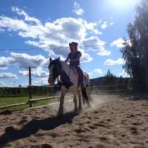 Paardrijvakantie in Zweden