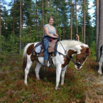 Paardrijvakantie in Zweden